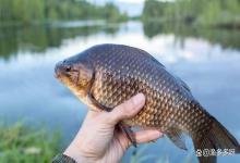 冬季鱼塘温度低还需要驱杀虫吗？是白忙活？还是开春稳鱼的关键？