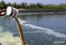 水产养殖冬天可以补菌肥水吗？冬天鱼塘温度低为什么不要用菌种调水？