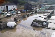 台风“普拉桑”登陆！高温消退秋凉加重，水产养殖病害需重点防范