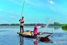 春季水温回升鱼塘该怎样改底最好？鱼塘改底多久改一次为好？