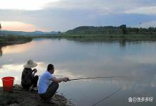黑坑亚硝酸盐超标怎么办？黑坑垂钓亚硝酸盐高加什么小药？速看