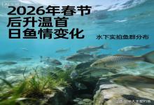 春节后升温首日，鱼全“藏”起来了？水下实拍揭秘，钓不到鱼的都看哭了