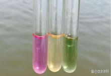 鱼塘亚盐高打海盐可以降吗？鱼塘亚盐高用盐能有效果吗？解答来了