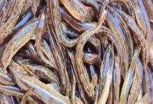 大斑云南鳅是什么鱼？