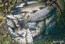 春季钓鱼爆护策略：抓第一波鱼情，找最先出鱼地形