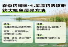 春季钓大鲫鱼，七星漂才是王道！保姆级攻略，新手也能轻松爆护