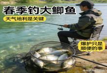 春季钓大鲫鱼，抓准天气 选对地利，爆护真的只是顺便的事