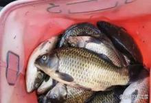 春雨天钓鱼别用长竿！老钓友私藏的3个黄金钓位，下竿就爆护！