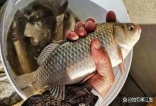 同一个窝子，为啥他用七星漂连杆，你用立漂却一动不动？