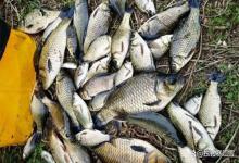 清明前野钓大鲫的黄金法则：找对这3个地方，新手也能连杆！