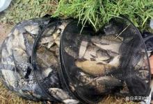 春季钓浅滩，3个事项要牢记，不然大鱼不靠边