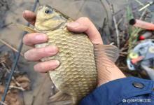 入春后最容易形成鱼窝的3种钓位！