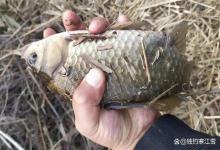 野钓最怕的不是没钓位，是选了这7种地方！钓一天等于喂鱼！