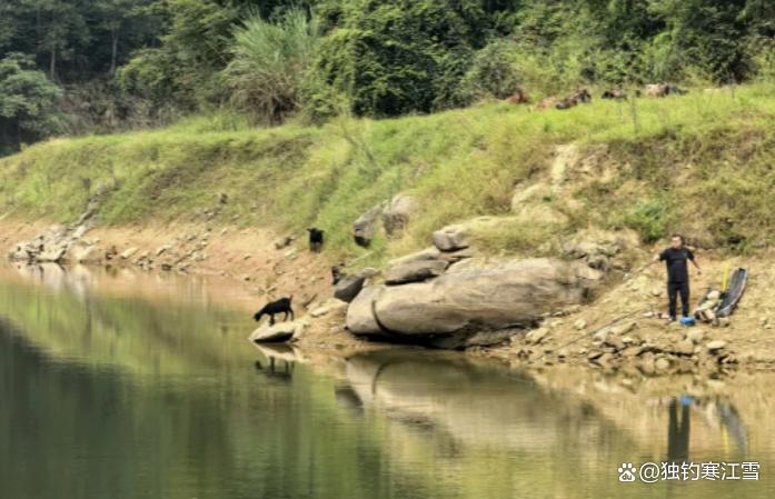 野钓判断钓位好坏，水色比深浅更重要！三种水色，教你看懂三种鱼情！