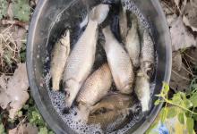 小鱼闹窝太烦人？老手常用这4招，轻松避开杂鱼钓大鱼！