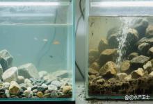 鱼缸水浑浊雾蒙蒙怎么办？鱼缸换滤材后浑浊雾蒙蒙的怎么办？