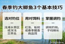 春季钓大鲫鱼，做好3个基本技巧！以不变应万变，鱼情再乱也能稳上鱼