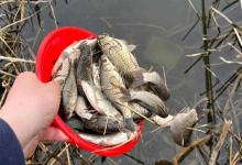 总钓不到大鱼？忽略了这5个细节，难怪守一天都没口！