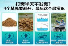 打窝半天不发窝？避开这4个禁忌，尤其是最后一个，鱼群主动进窝不费力