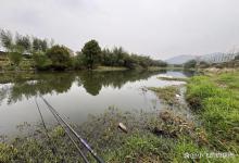 为什么你在浅滩老是钓不着鱼？空军背后的3个真相，很无奈