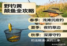 野钓黄颡鱼封神指南！精通这几套钓法，春夏秋三季爽钓不空军