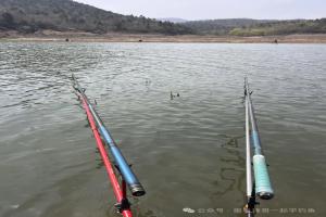 钓鱼不及时提竿，真的会跑鱼吗？一文说透