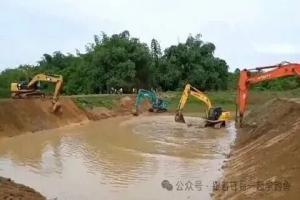 一个新挖的池塘，不往里面放一条鱼，十年后里面会有鱼吗？