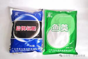 成活率直冲90%！春季水花培育一步到位