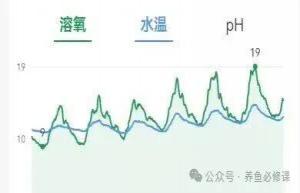 春季倒藻猛如虎！做好这几点，提前规避不翻车