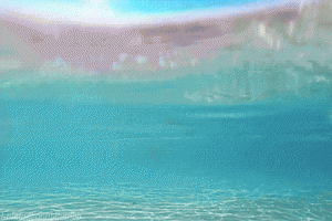 水好鱼欢颜：通关养鱼保姆级指南