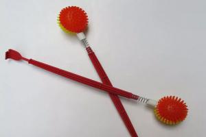 金鱼大图鉴⑧·珍珠