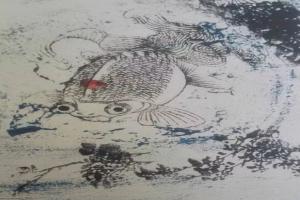 金鱼大图鉴④·鹤顶红&高头