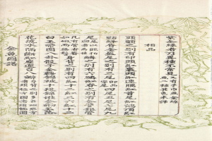 金鱼大图鉴⑮·蛋金