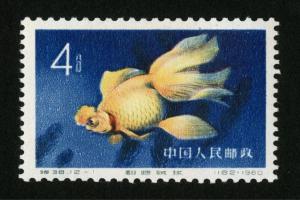 金鱼大图鉴⑩·文种绒球