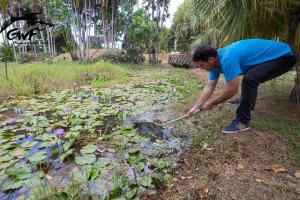 原生态造景,我只是想把自然淡水带回家