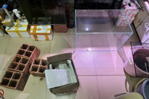 也很美！仿原生境造景,60塘泥原生鱼缸造景