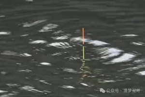 为什么浮漂入水就是斜着的?主要是这2个原因导致,注意下就能解决!