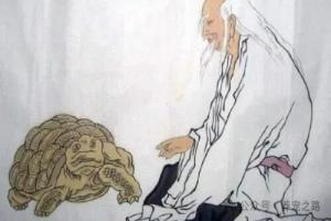 千年王八万年龟——乌龟的寿命有多长?