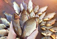 野钓20年经验总结：找鱼窝记住这10句口诀，新手也能一找一个准