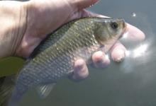 钓行程的3个核心要素！专治接口和半水鱼，中鱼率瞬间飙升！