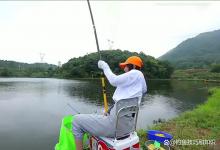 钓鱼时高密度鱼情和低密度鱼情的差别