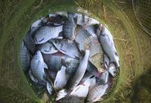 黑漂不中鱼的4个根本原因！别总怪鱼滑，问题可能出在这！