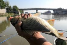 气压高低对钓鱼的影响！看懂气压表，出钓前就知鱼口好坏！