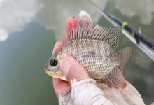 野钓避雷！最不招人喜欢的13种钓鱼人，遇到真的很影响心情