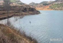 “清明钓鲫，天时地利”老钓手分享春季野钓3个小窍门，干货满满全是经验！