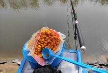 野钓时打多个窝子轮流钓的技巧