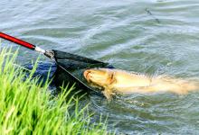 浮漂轻微抖动的真正含义！抓住这个信号，可能是大鲫鱼在试探！