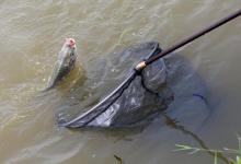 野钓选位的3个“避坑”指南！这几种位置看似好，实则藏鱼少！