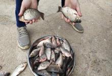 8字环与铅皮座的距离玄机！调好这个细节，信号传递更清晰！