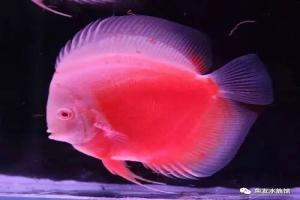 家有七彩，不懂这些可不行！~